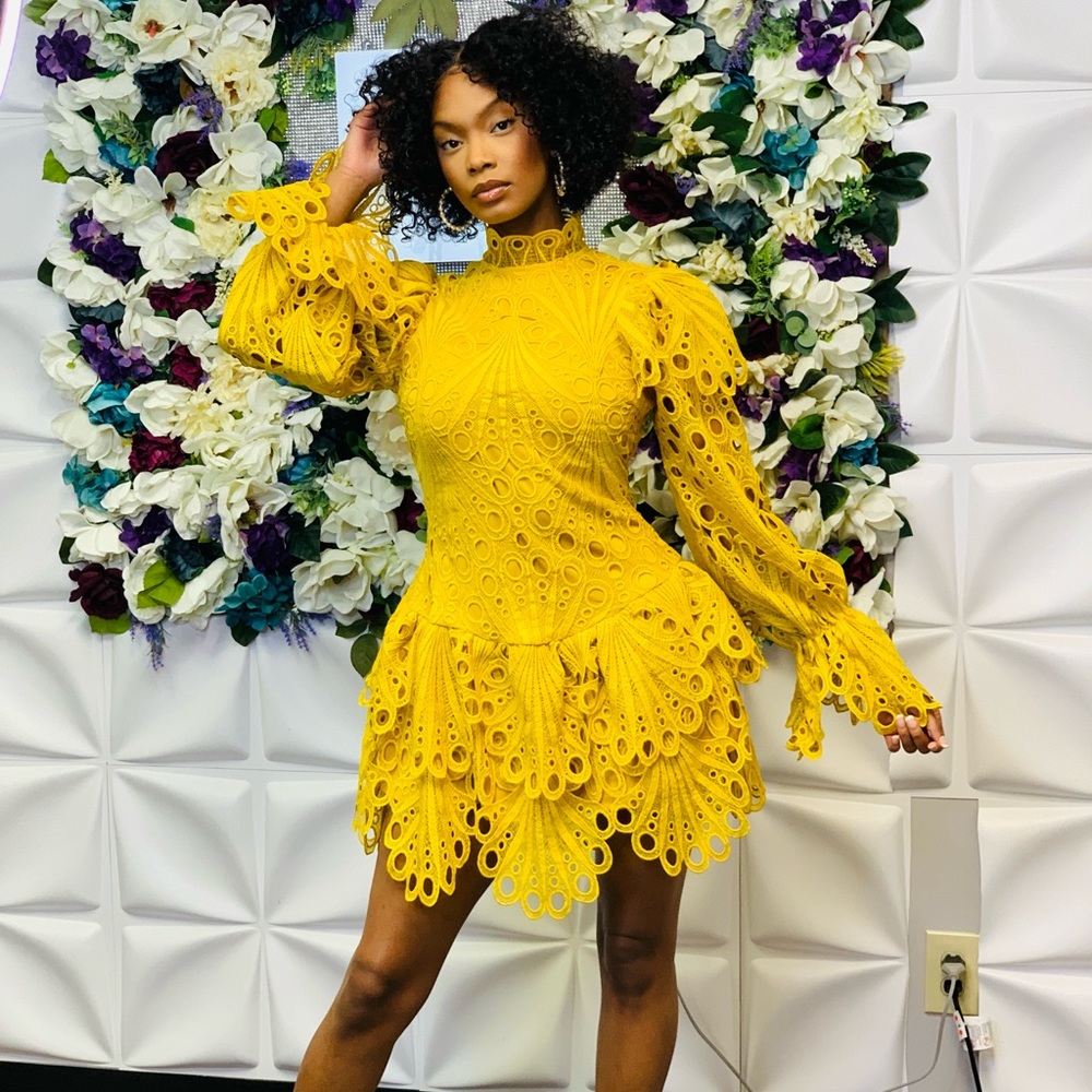 Paris- Crochet Mini Dress - Picture 1 of 4